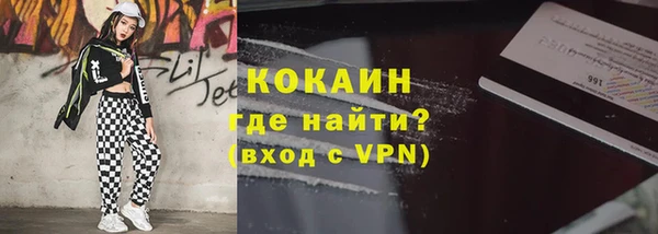 гашик Аркадак