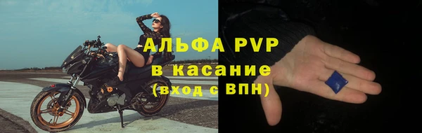 гашик Аркадак